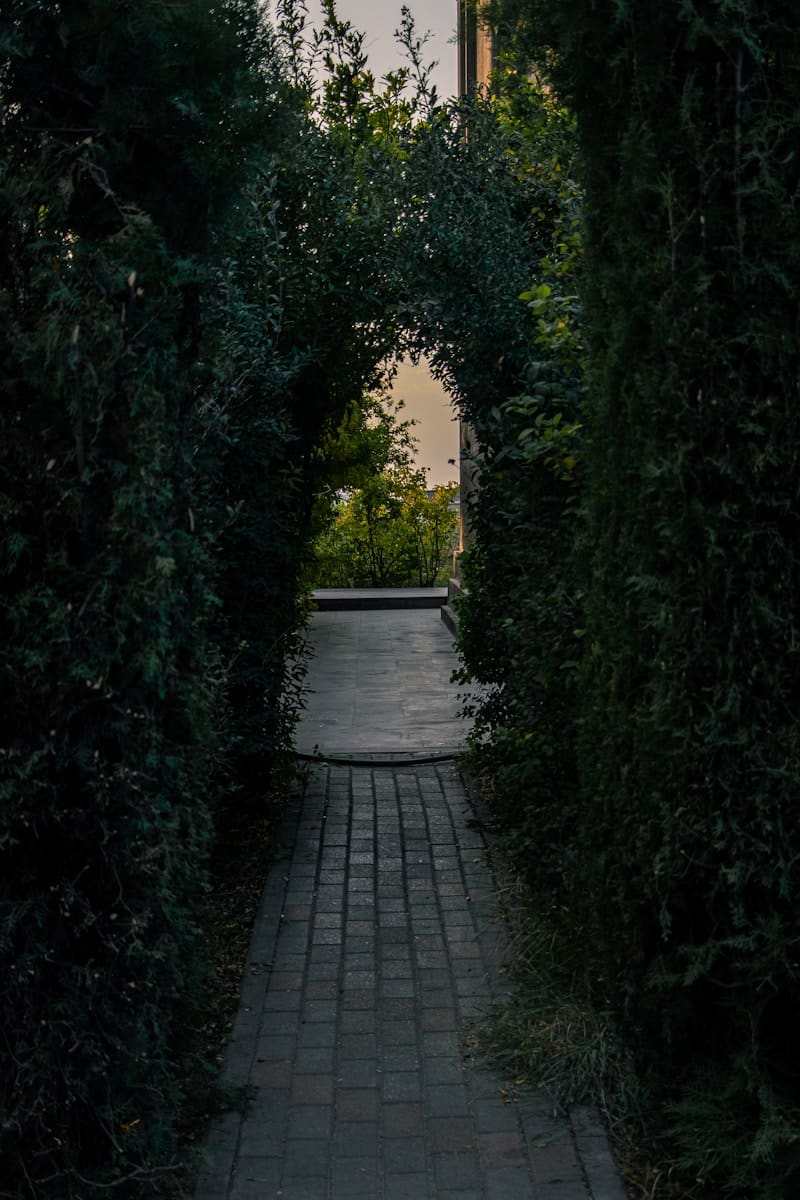 Hidden Courtyards, Steady Miles