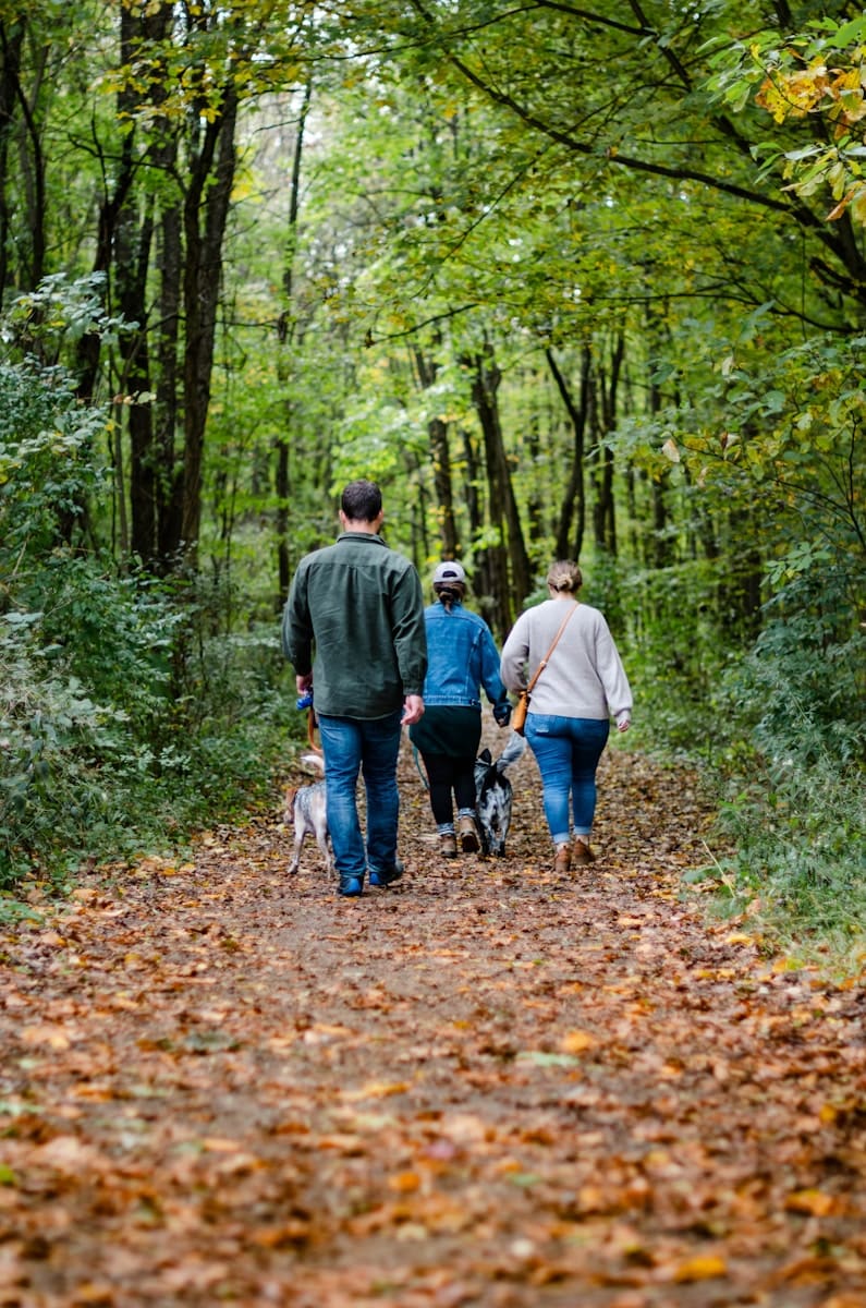 Making Memories in Sleaford: 5 Family-Friendly Adventures Everyone Will Love