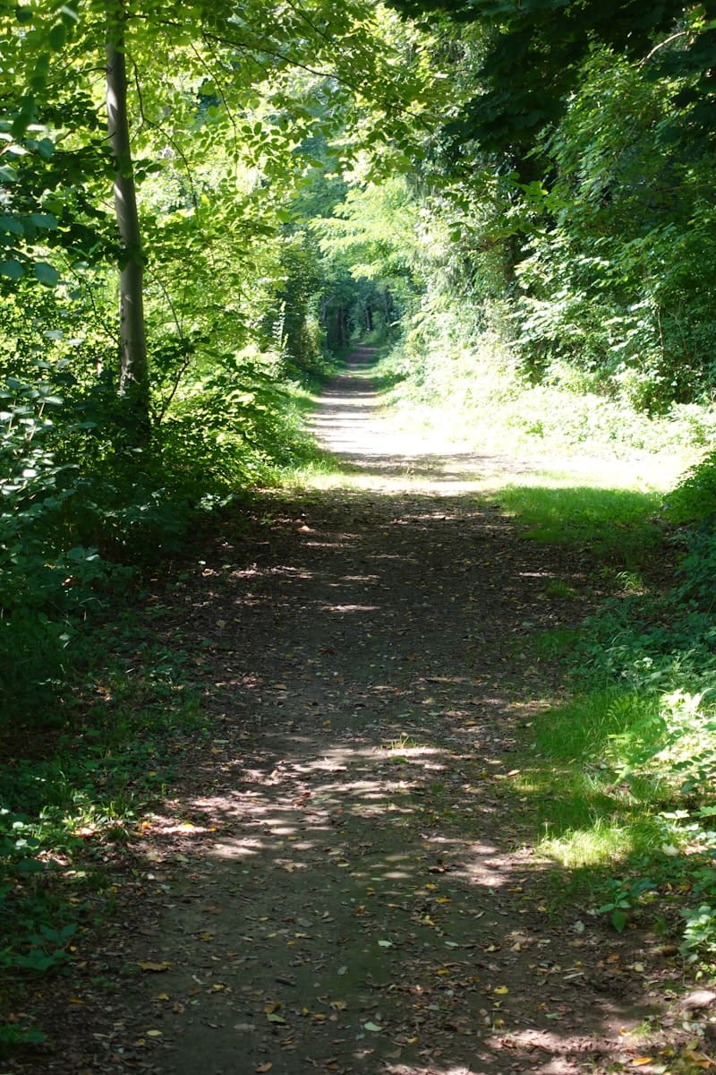 Lincolnshire Wolds AONB Trail Loops