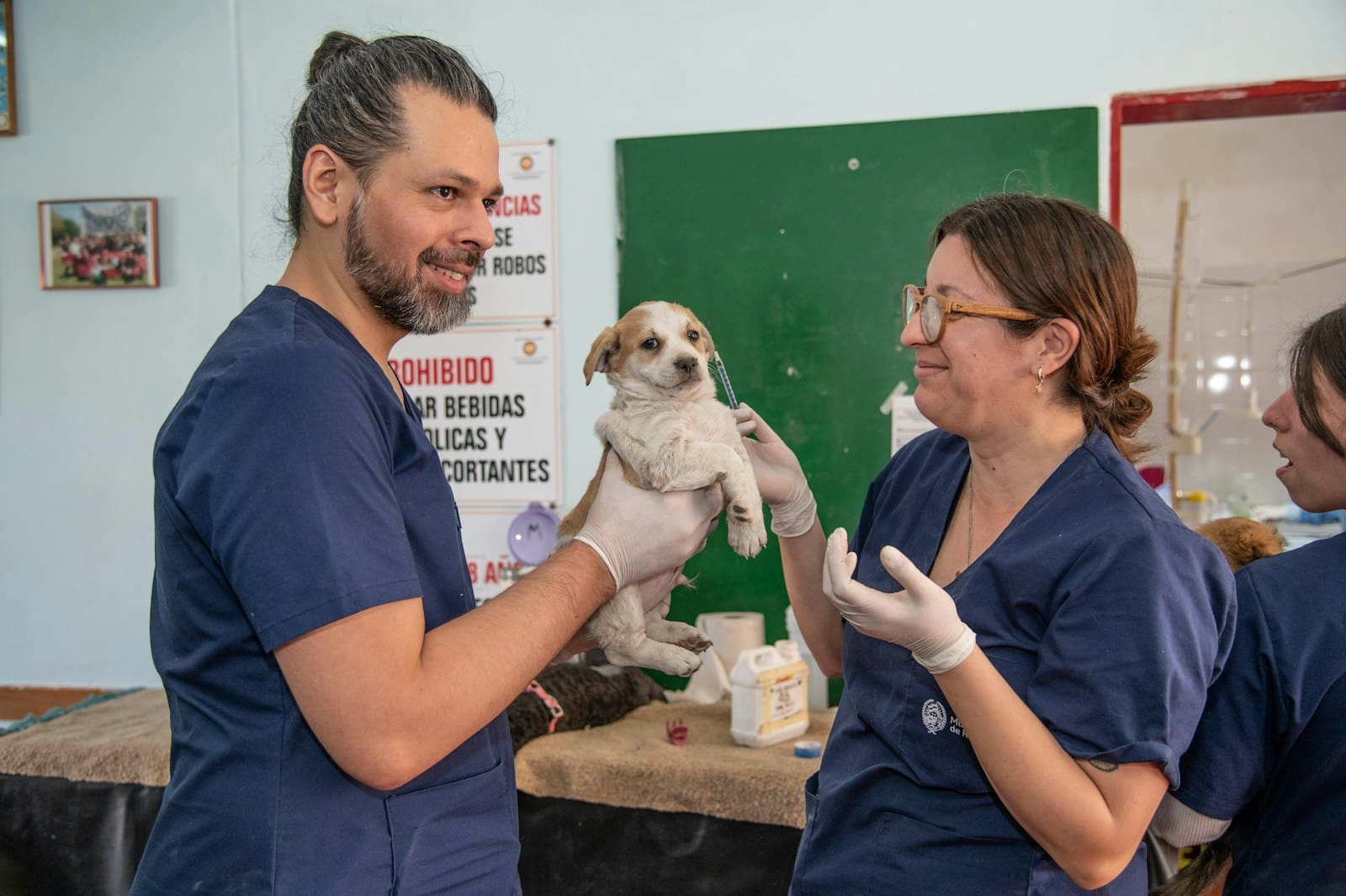 Lincolnshire Animal Hospital: Caring for Pets, Supporting People