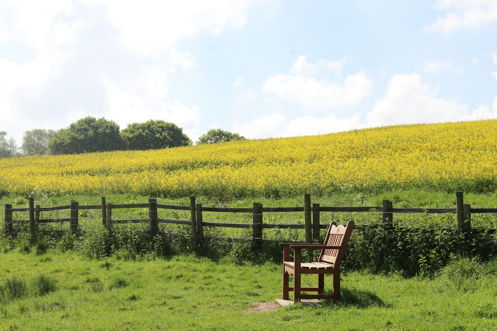 SpringHill Suites Lincolnshire: Your Easy Base for Work, Play, and Calm