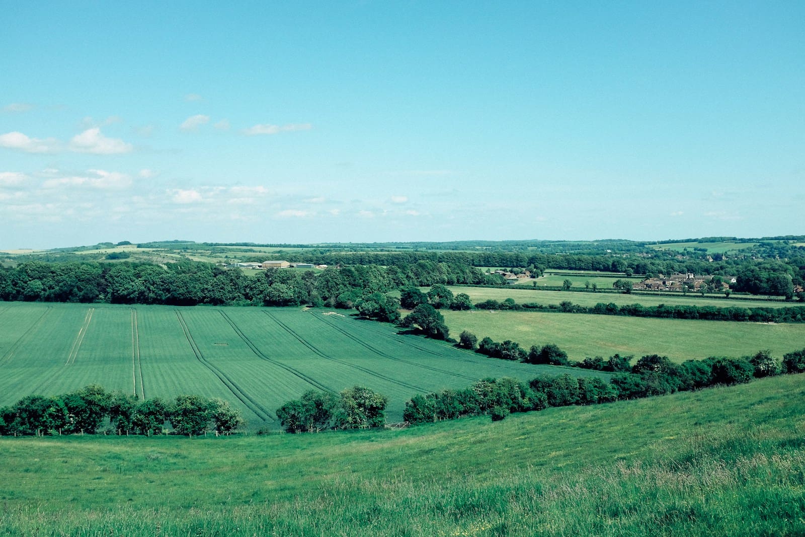Lincolnshire Place: A Friendly Guide to England’s Big-Sky County