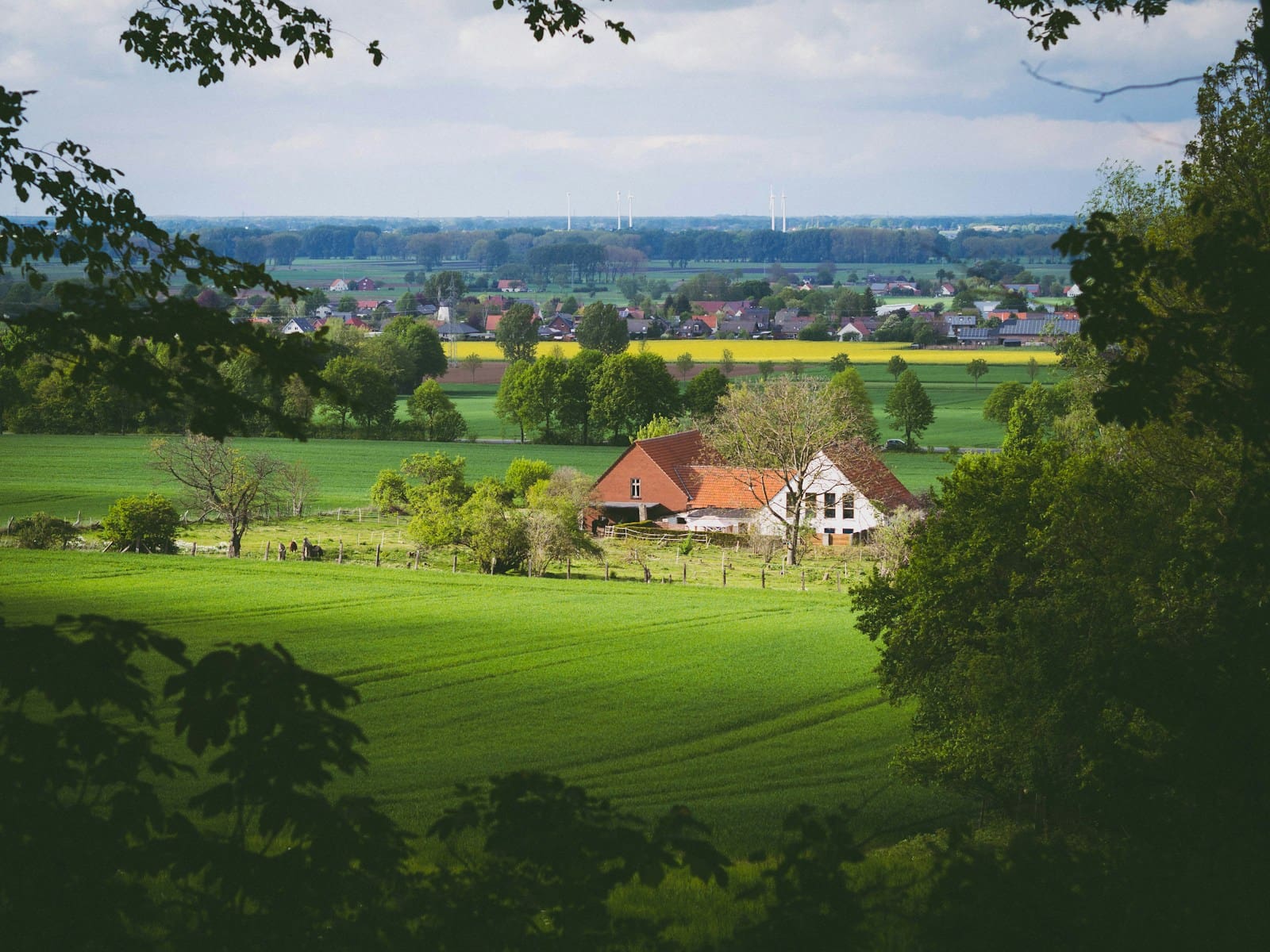 Lincolnshire Estates: A Friendly Guide to Everyday Living