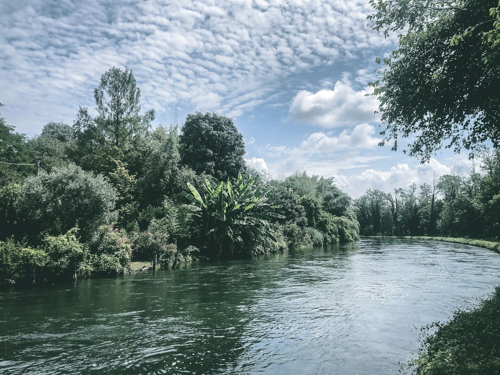 The River Witham: Lincoln’s Silver Thread of Calm and Connection