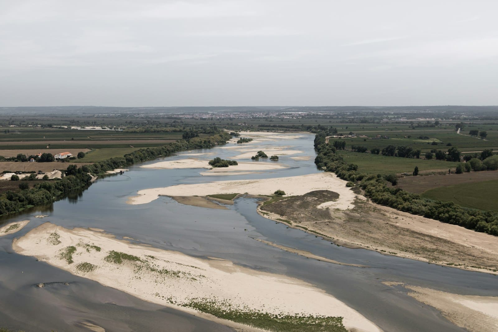 River Witham to The Haven: Where a Fenland River Meets the Sea
