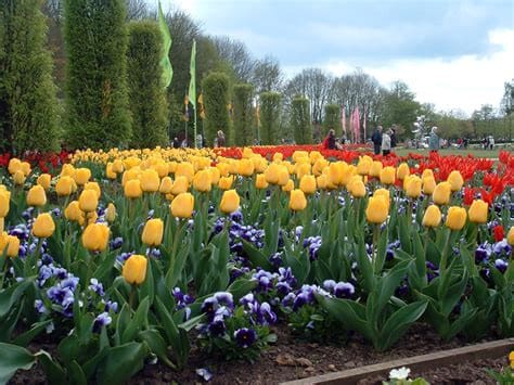 Spalding, Lincolnshire: A Fenland Market Town That Gets On With It