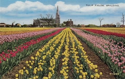 Spalding Flower Parade Then and Now