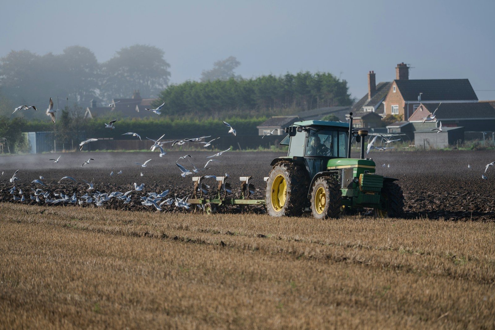 Lincolnshire Show 2026: Why the County’s Big Day Out Still Matters
