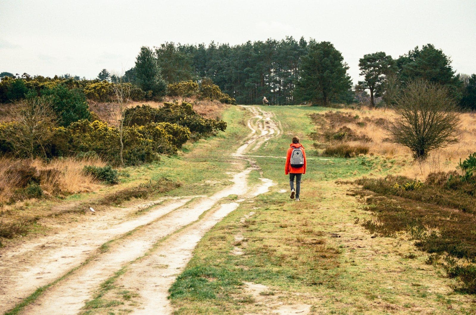 Hydration for Runners in UK Weather: How Much Is Sensible?