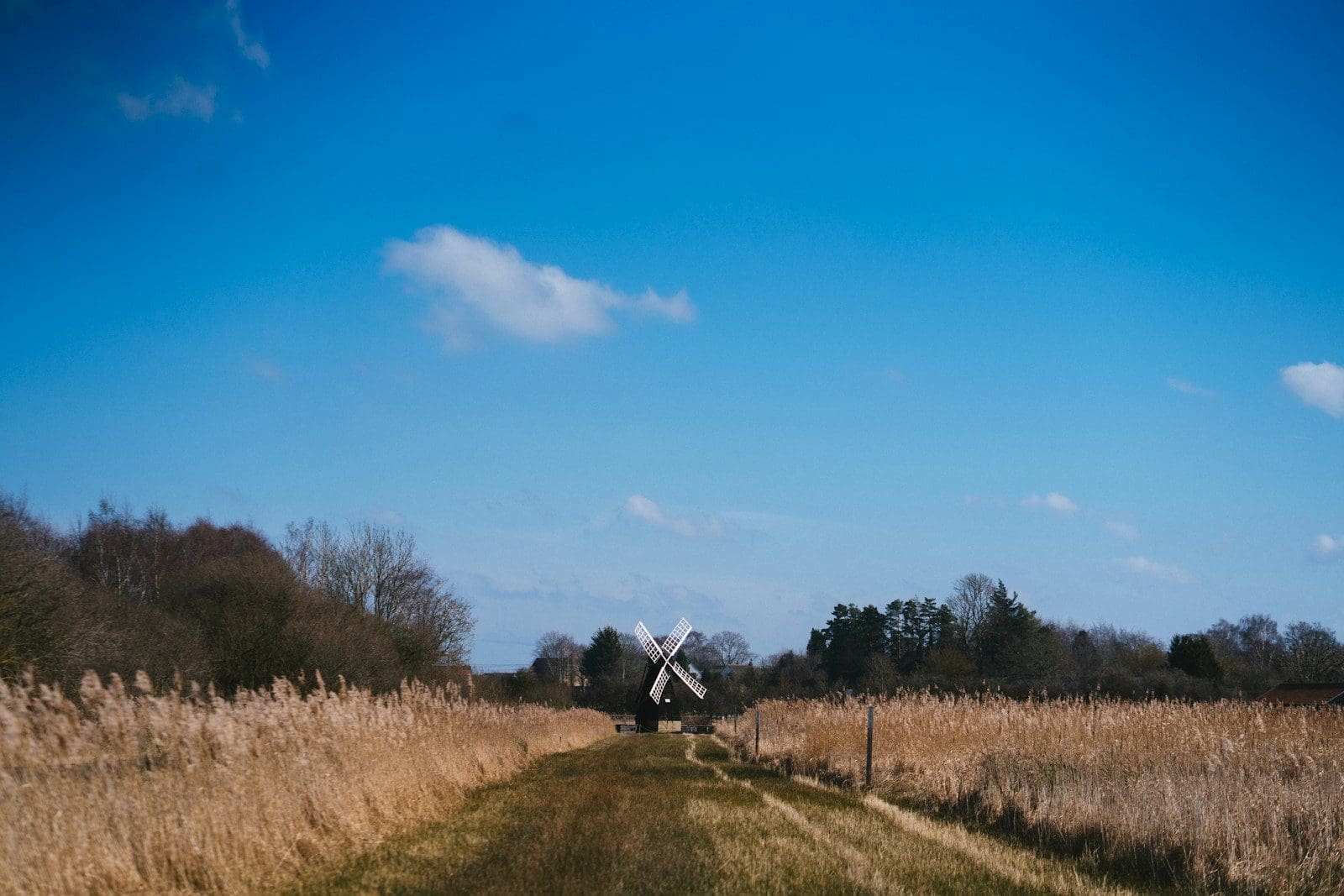 Running in Strong Wind: A Fenland Guide for Better Training