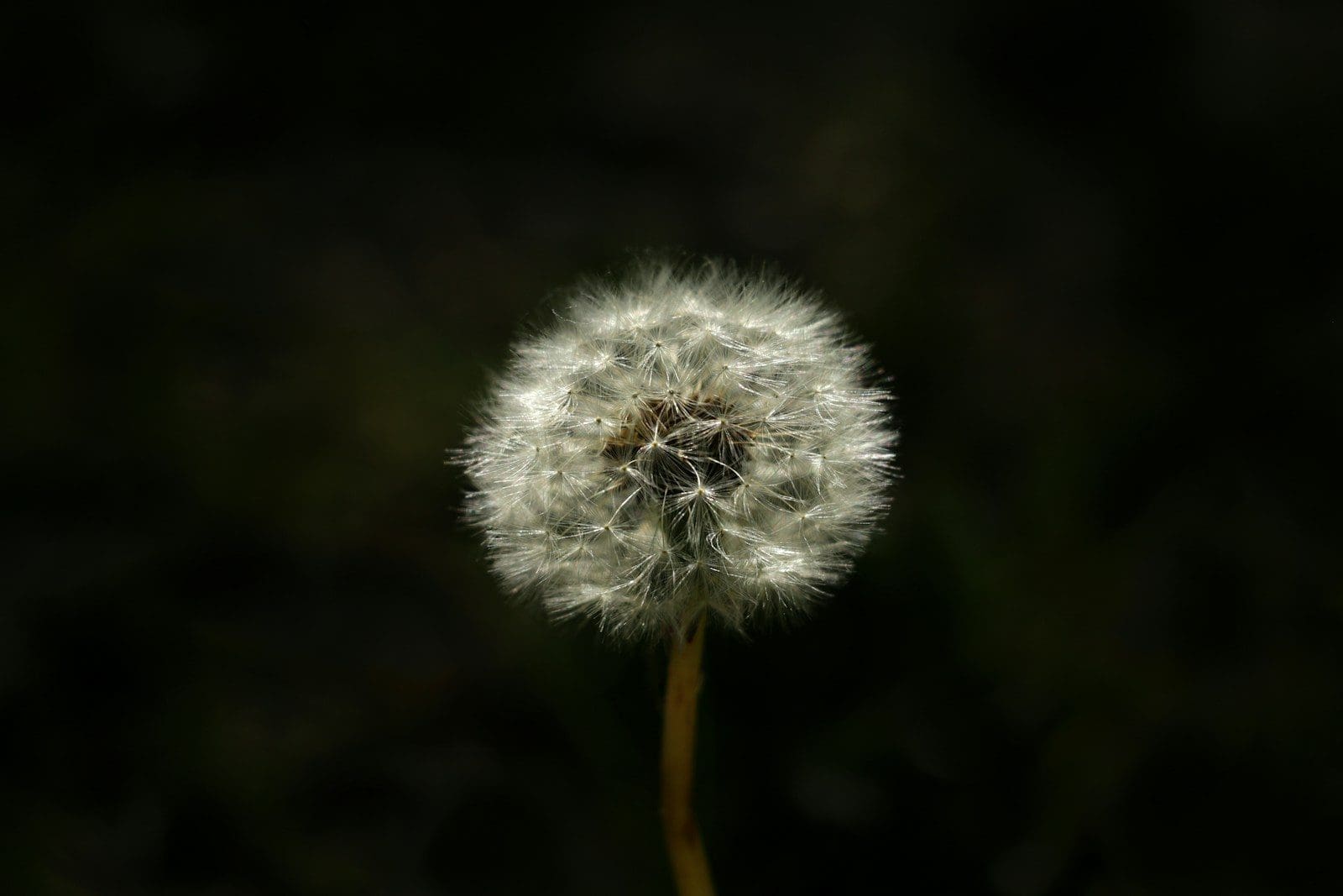 Hay Fever and Running in Lincolnshire: A Pollen Plan